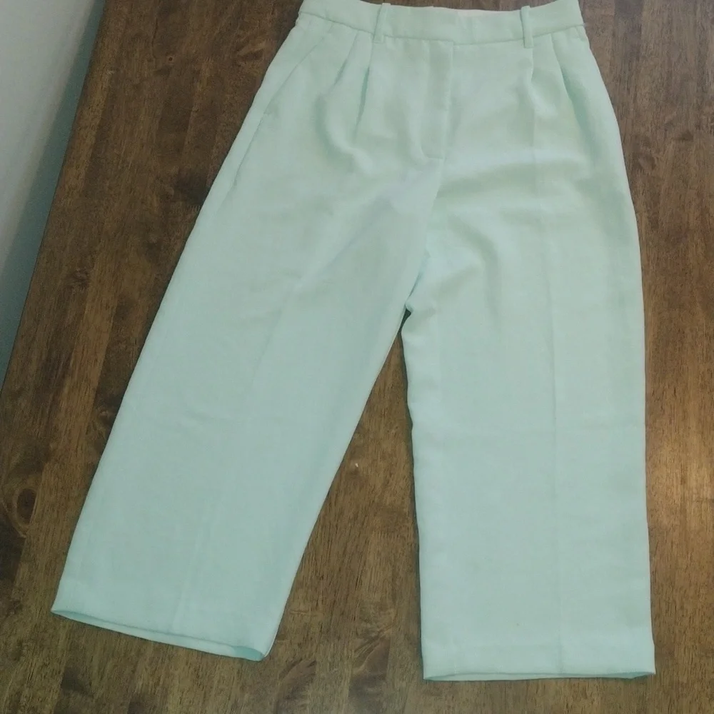 Wilfred Arizona Mint Green Ankle High Waisted Wide Leg Pleated Pant 8